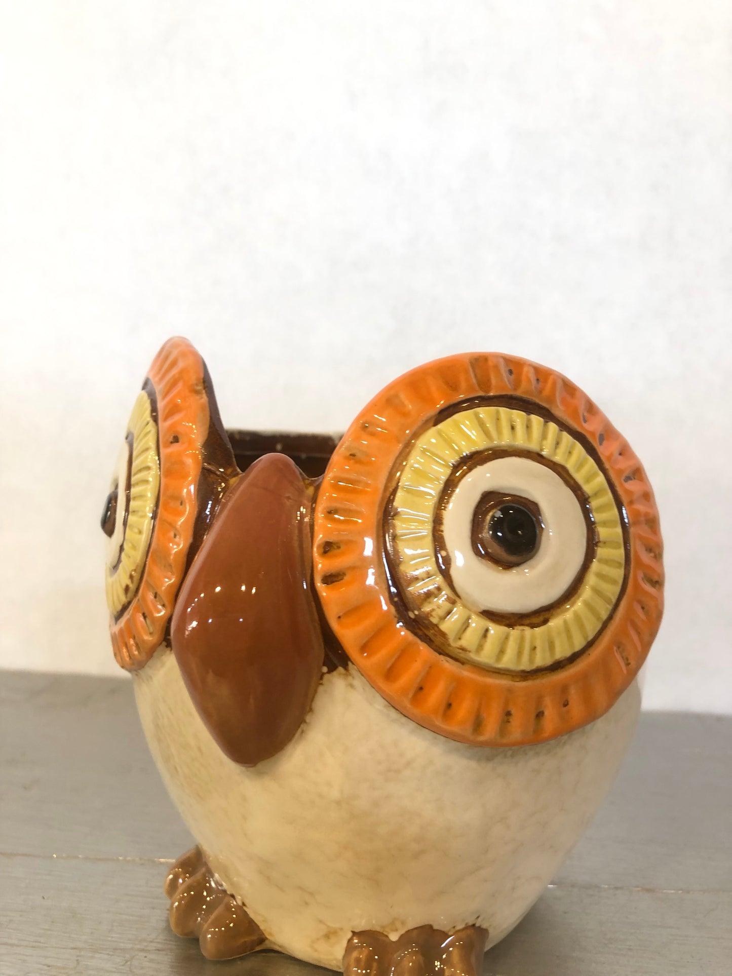 Vaso in Ceramica Gufo – Porta Piantine Decorativo con Occhi Grandi