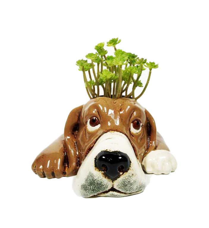 Vasetto Cane in Ceramica – Porta Piantine Decorativo Cucciolo Marrone