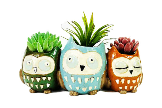Set 3 Vasi Gufo in Ceramica – Porta Piante Colorati e Decorativi