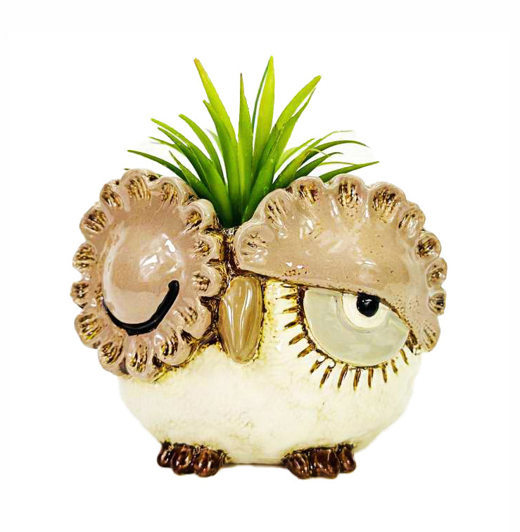 Vaso Portapiante in Ceramica a Forma di Gufo con Espressione Strizzando l’Occhio e Apertura Superiore per Piante Grasse e Succulente Fioriera Decorativa da Tavolo Design Simpatico Stile Rustico per Casa Ufficio e Giardino Interno